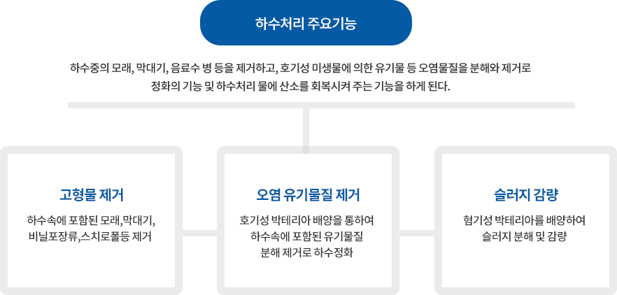 하수처리 주요기능 : 하수중의 모래, 막대기, 음료수 병 등을 제거하고, 호기성 미생물에 의한 유기물 등 오염물질을 분해와 제거로 정화의 기능 및 하수처리 물에 산소를 회복시켜 주는 기능을 하게 된다./ 01.고형물 제거:하수속에 포함된 모래,막대기,비닐포장류,스치로폴등 제거 / 02.오염 유기물질 제거:호기성 박테리아 배양을 통하여 하수속에 포함된 유기물질 분해 제거로 하수정화 / 03.슬러지 감량 :혐기성 박테리아를 배양하여 슬러지 분해 및 감량 